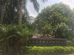 祝東莞高豐木業制品有限公司通過BV  BSCI、FCCA、SCS驗廠